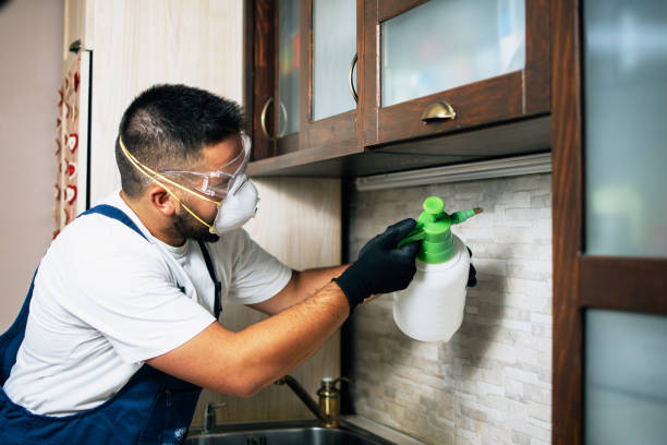 Best Emergency Pest Control  in Salem, SD