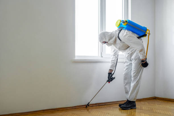 Best Wasp Removal Services  in Salem, SD