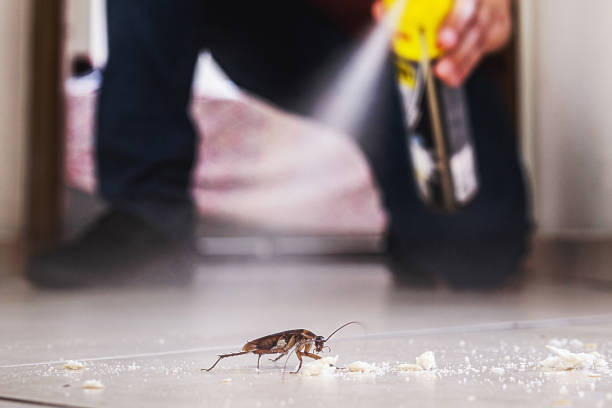 Best Affordable Pest Control Services  in Salem, SD
