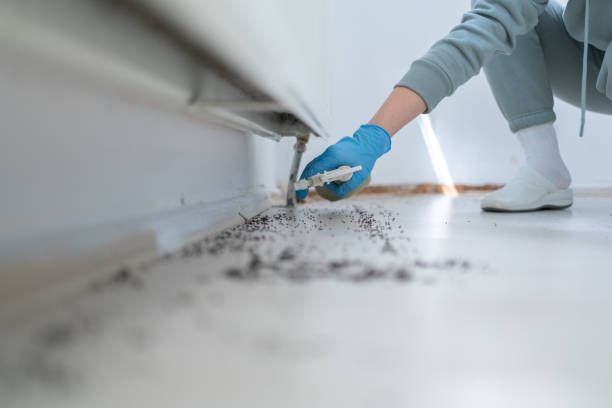 Best Residential Pest Control  in Salem, SD